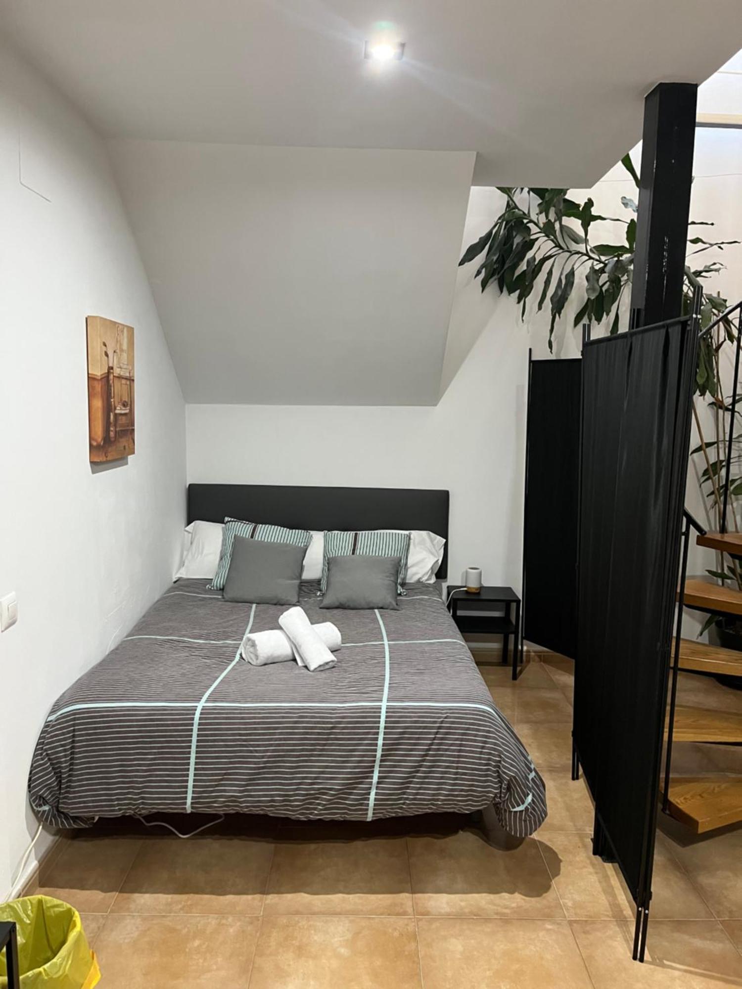 Apartment Dinosaurios
